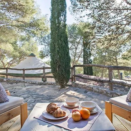 Castell Montgri ****